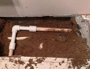 北关测漏水哪家好