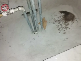 北关卫生间测漏水价格明细