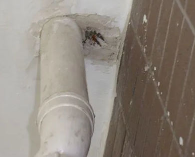 北关漏水检测哪家好